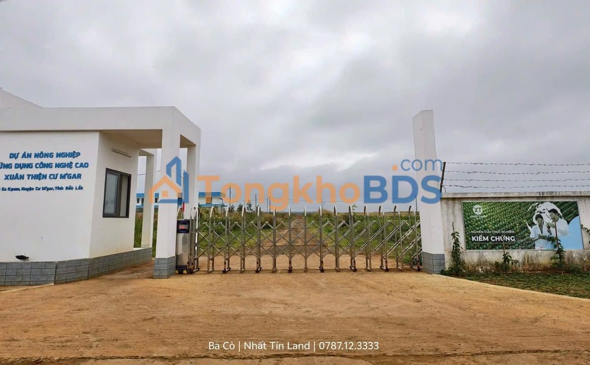 Đất TL8 Ea KPam 210m² 31.5 tỷ Sổ đỏ chính chủ