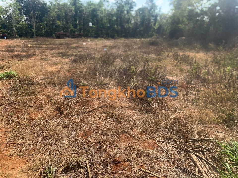 Đất nền Xã Cư M'gar 360m² 1.3 tỷ - Sổ đỏ chính chủ