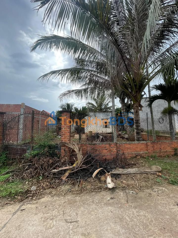 Dat thoc cu Binh Hoa Krong A Na 220m2 154 trieu - So do san