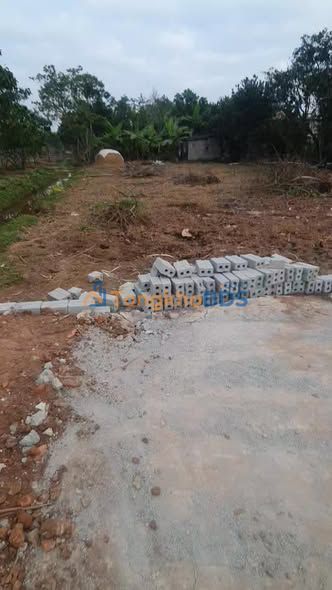 Bán Đất Thổ Cư 160m² Tại Thị Trấn Quý Nhất, Nghĩa Hưng - Sẵn Sàng Đầu Tư