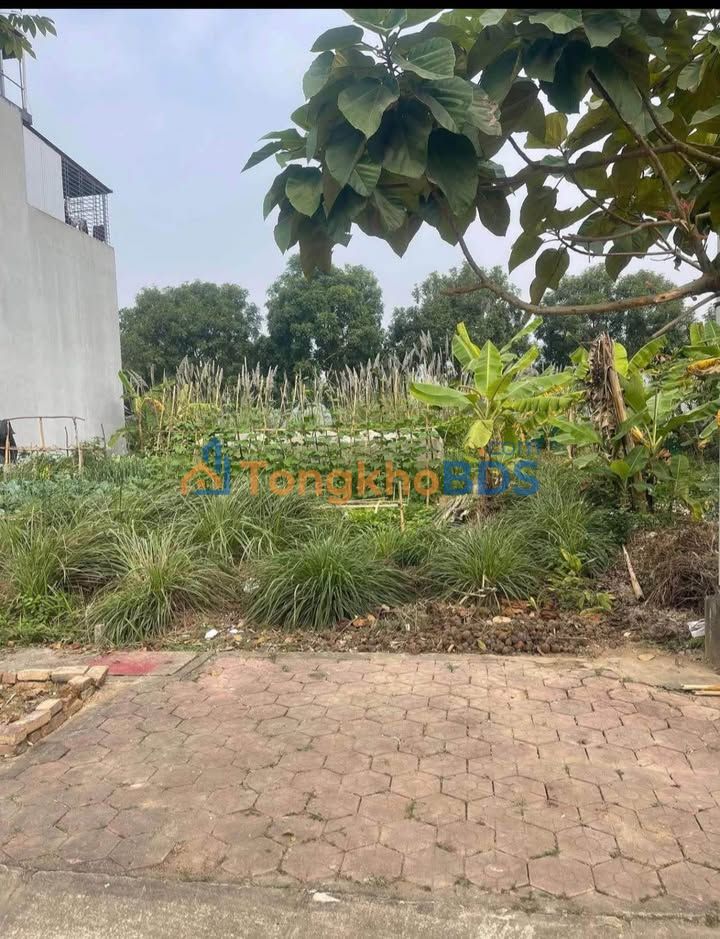 Đất nền Sa Pa 100m² 1.48 tỷ - Sổ đỏ chính chủ