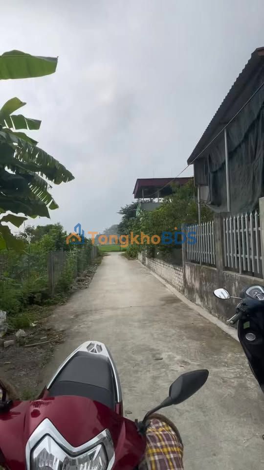 Đất nền Xã Tân Minh Ý Yên 200m² - Đường to ô tô