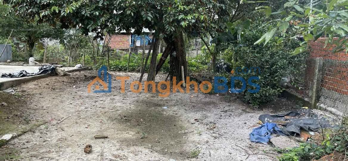 Đất nền Tam Kỳ 187m² thỏa thuận - Đường to ô tô