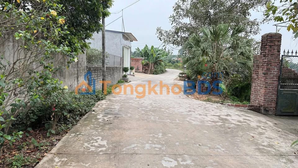 Đất nền Tân Lập Việt Yên 300m² 1.3 tỷ - Xây dựng tự do