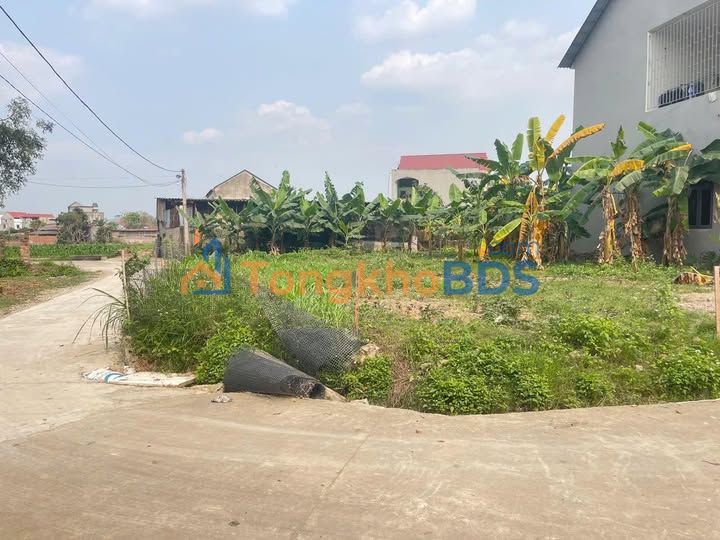 Đất Thôn Sau Nứa Hiệp Hoà 393m² dưới 3 tỷ - Đường ô tô tránh