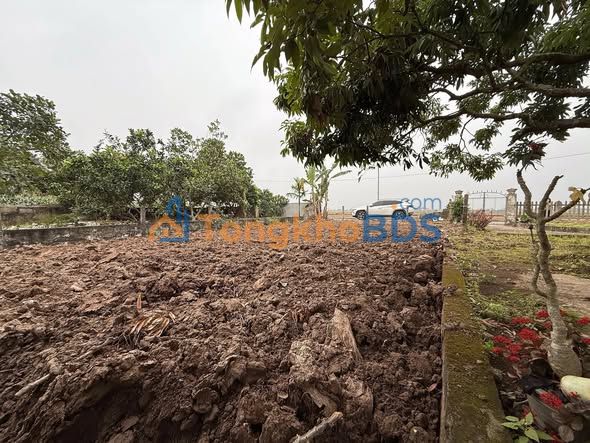 Đất Nền Xã Đồng Phong, Nho Quan, Ninh Bình - 120m² Hướng Tây, Mặt Đường To