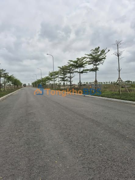 Bán Đất Công Nghiệp 5000m² Ý Yên, Nam Định - Sẵn Sàng Xây Dựng