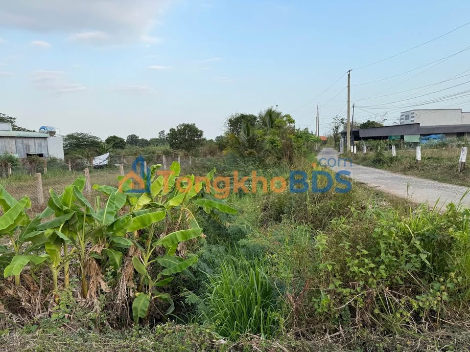 Đất nền Kênh Mới Củ Chi 204m² giá 2xx triệu - Tiềm năng tăng giá