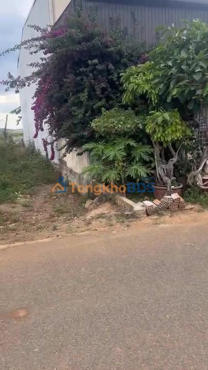 Đất nền Phú Hội 100m² giá 3,125 tỷ - Đất thổ cư 100%