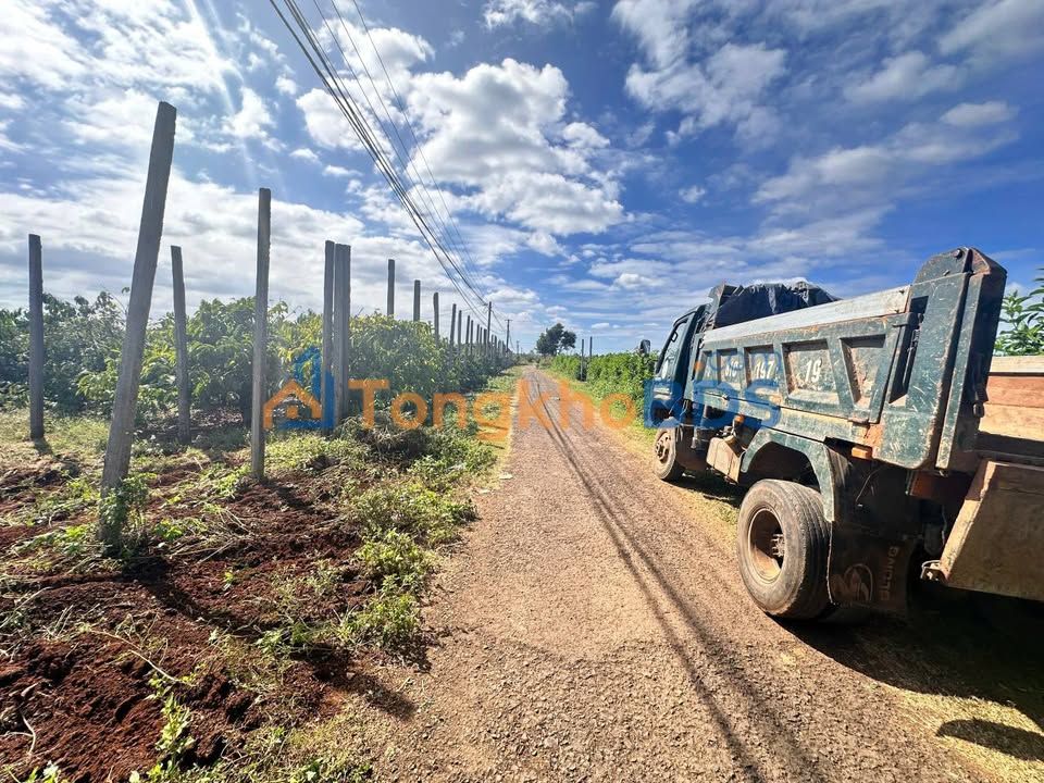 Đất Pleiku Yên Thế 150m² 5xx triệu - Tiềm năng tăng giá