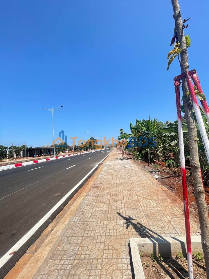 Đất nền Pleiku Tránh Đồng Xanh 500m² 240tr/m - Sổ đỏ