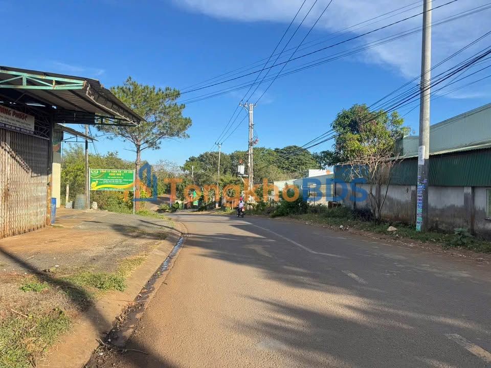 Bán Đất Hẻm 2 Bùi Dự Pleiku 120m² Full Thổ Cư - Giá Tốt