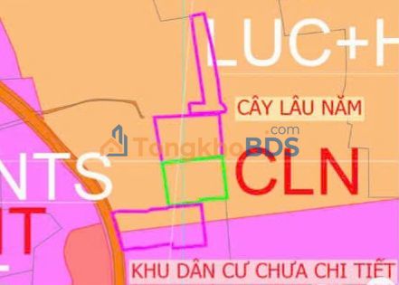 Đất nông nghiệp Nguyễn Thị Xanh Q12 13.000m² - Đầu tư dài hạn