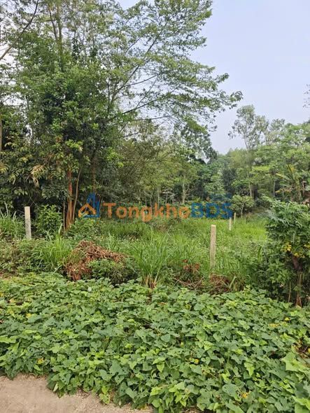 Đất nền Khu 10 Kim Đức 121.7m² - Pháp lý rõ ràng