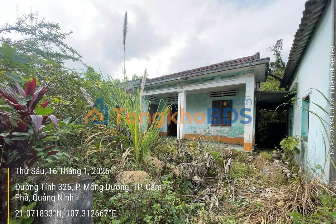 Đất nền Mông Dương Cẩm Phả 595m² 1,248 tỷ - Sổ đỏ chính chủ