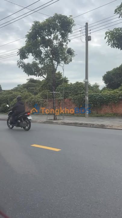 Đất nền Nguyễn Văn Lộng, Thủ Dầu Một 2.400m² - Sổ đỏ chính chủ