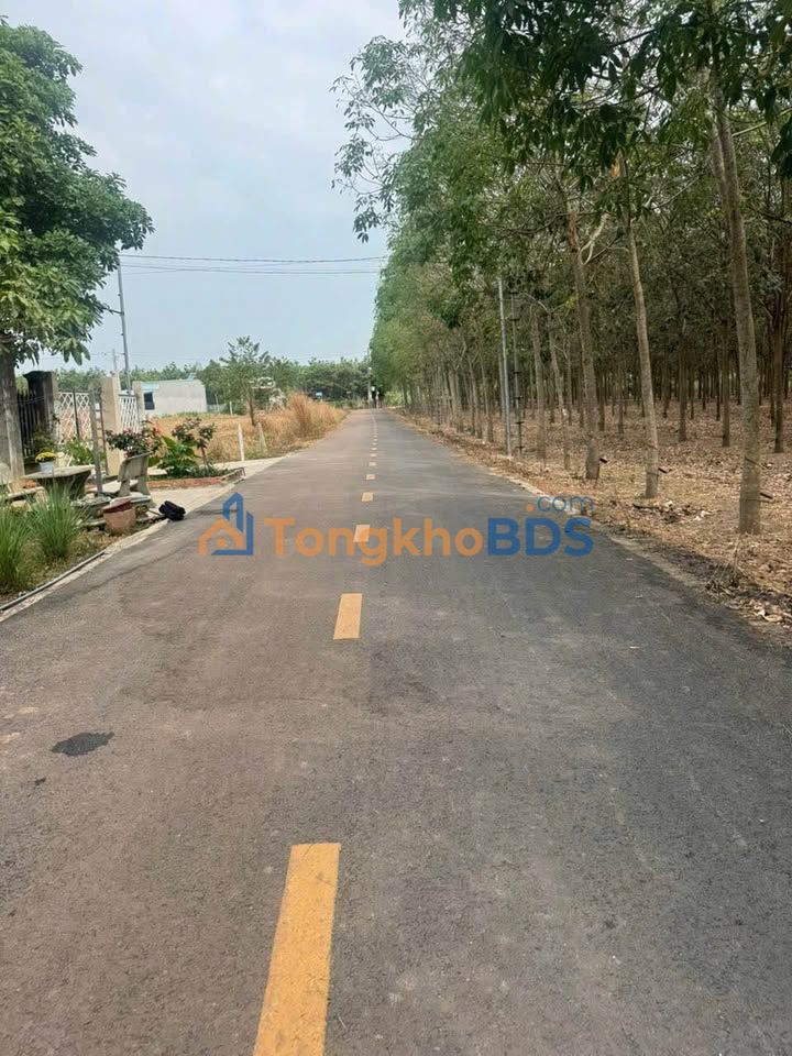 Đất nền An Linh Phú Giáo 290m² giá 580 triệu - Sổ đỏ chính chủ