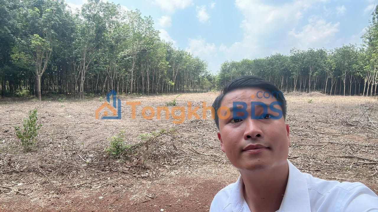 Đất Nền 5000m² Phường Phú Mỹ, Thủ Dầu Một - 5 Sổ Hồng, Đường Xe Tải