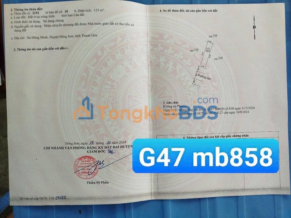 Bán Đất Nền G47-MBQH 858 Đông Ninh, Thanh Hóa - 125m² Giá 875 Triệu