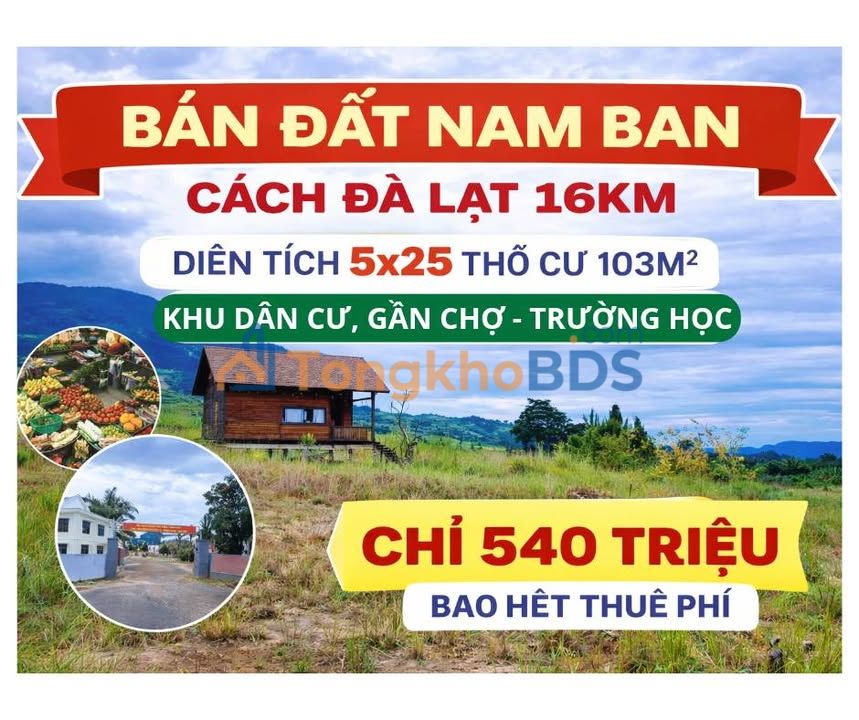 Đất Thổ Cư Đông Thanh 103m² - Cơ Hội Đầu Tư Gần Đà Lạt