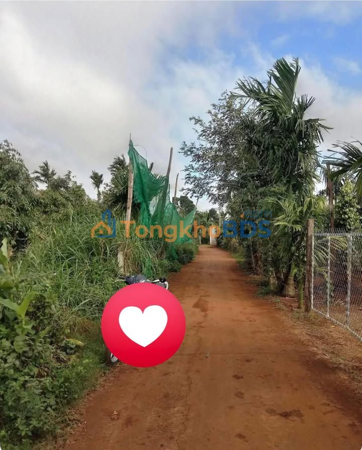 Đất Tân Thành Buôn Ma Thuột 441m² 700tr - Sổ đỏ