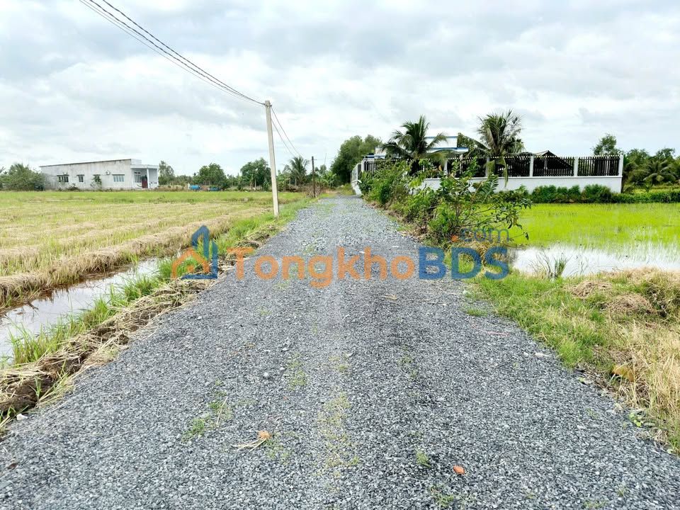 Bán Đất 125m² Sổ Hồng Chính Chủ Đường Bình Lợi, Bình Tân - 760 Triệu