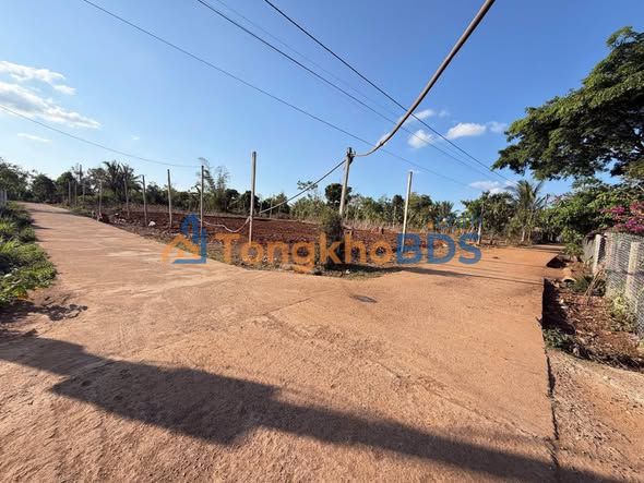 Đất nền Ea Drông Buôn Hồ 192m² 320 triệu - Đường ô tô