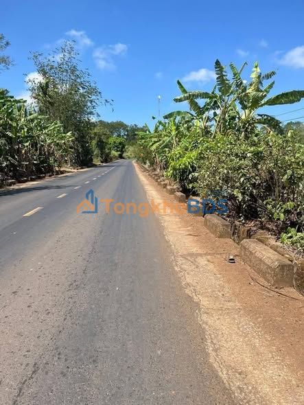 Đất Quốc lộ 29 Đông Hòa 320m² 1xx triệu - Sổ đỏ chính chủ