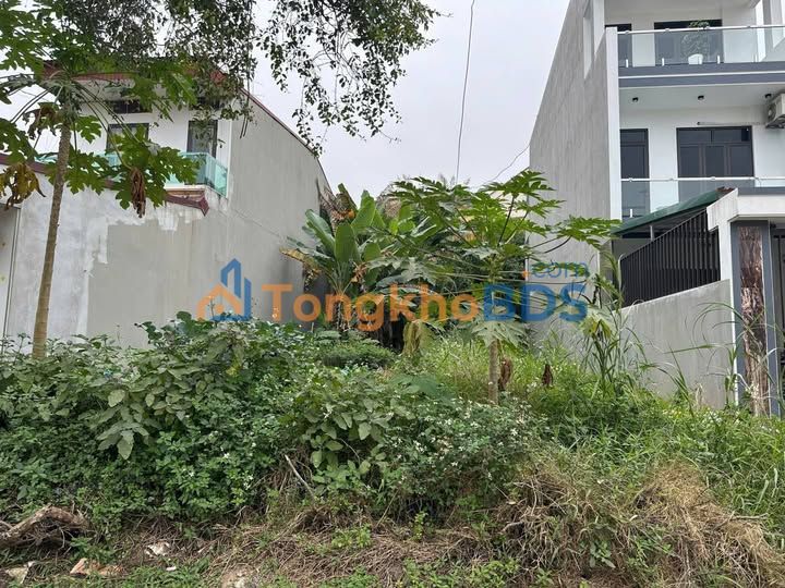 Đất Vàng Hoàng Quốc Việt, Lào Cai - 90m² Kinh Doanh Đắc Lợi