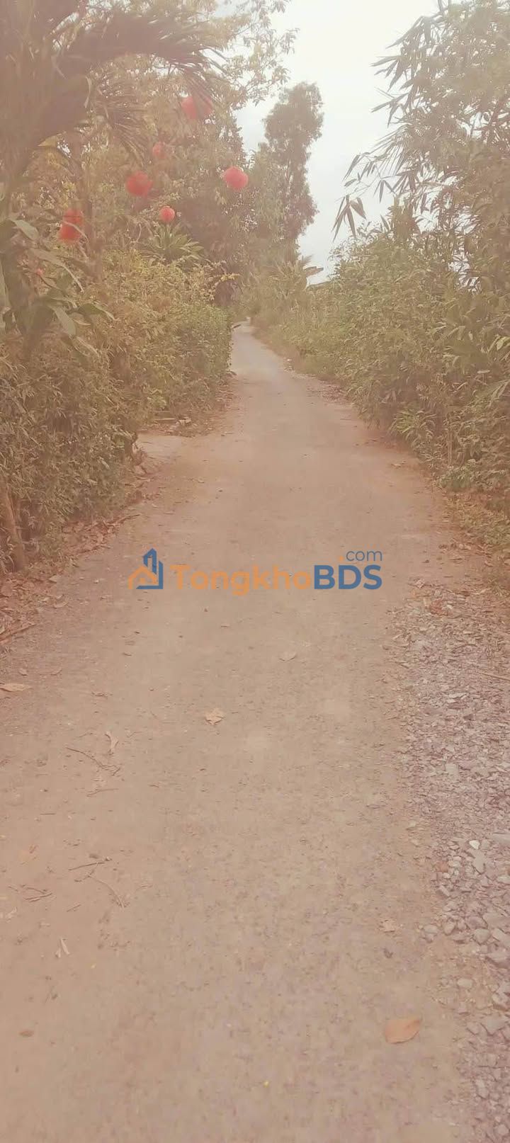 Bán Đất Vườn Vĩnh Long 7200m² - Giá 550 Triệu, Sẵn Sàng Đầu Tư