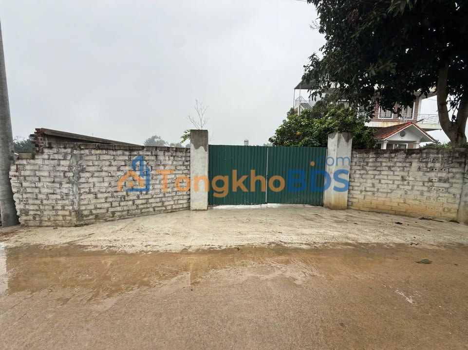 Đất nền Cổ Đông 386m² giá thỏa thuận - Đường to ô tô