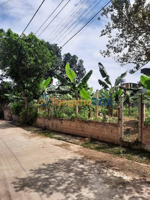 Bán Đất Vị Trí Vàng Đại Lộ Nguyễn Thái Học, Yên Bái - 87m²