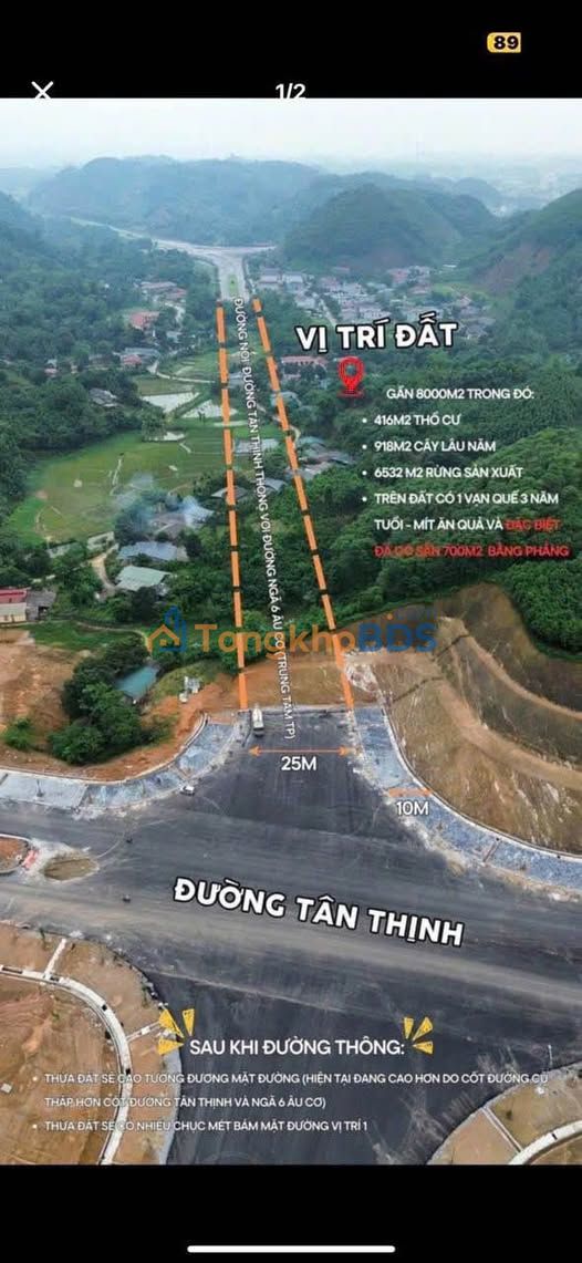 Đất nền Yên Bái 300m² - Vị trí đắc địa đường Âu Cơ, sẵn sàng xây nhà vườn