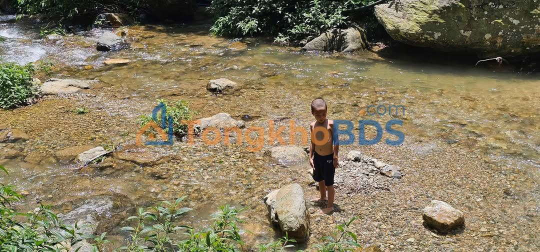 Bán Đất Vườn 16.000m² Chiềng Yên, Vân Hồ - Sổ Đỏ, Bám Suối