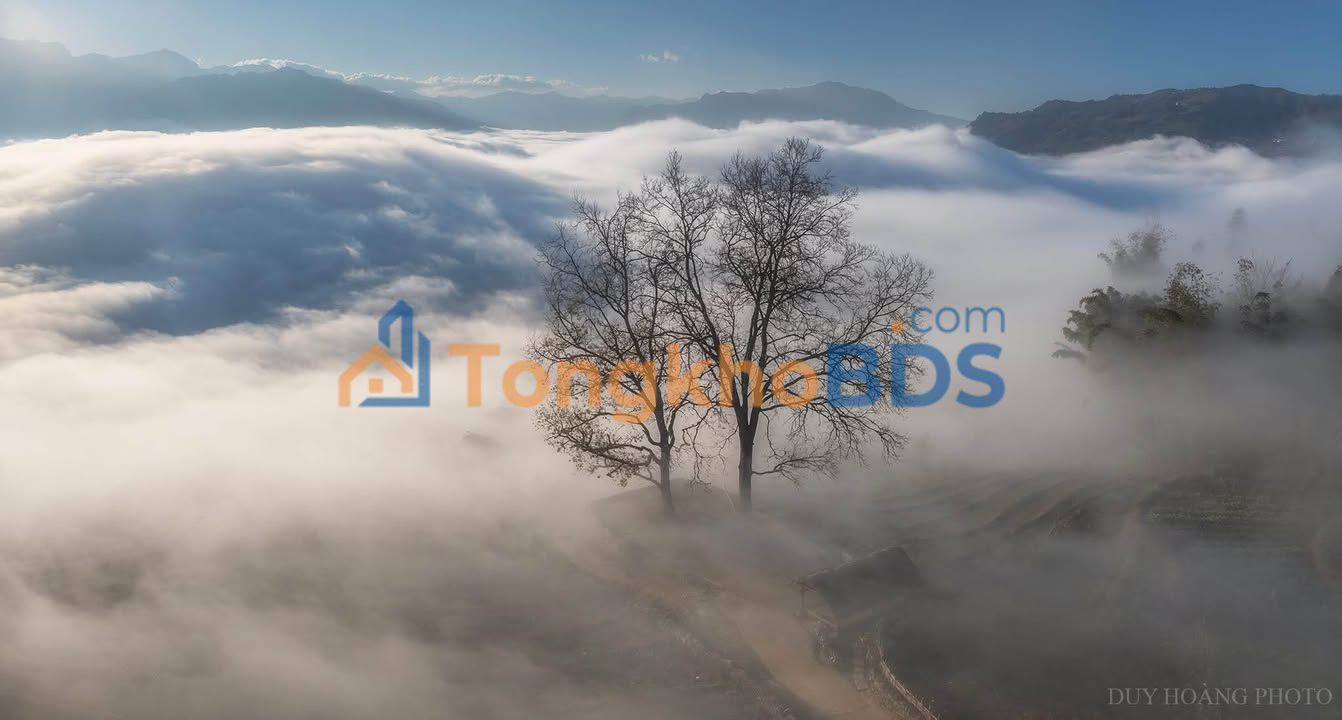 Đất thổ cư Sơn Tây 100m² 2 tỷ - Xây dựng tự do