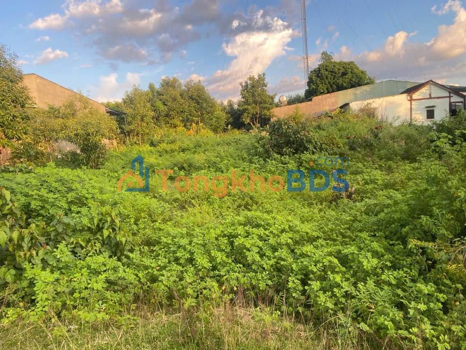 Đất nền Kon Tum 288m² 600 triệu - Thổ cư 100%