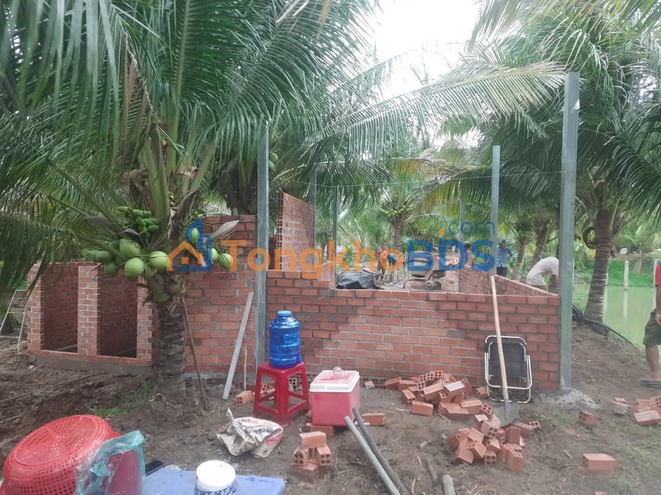 Farm Sông Xoài 1,5ha nhà yến & ao cá - Sẵn sàng ở ngay