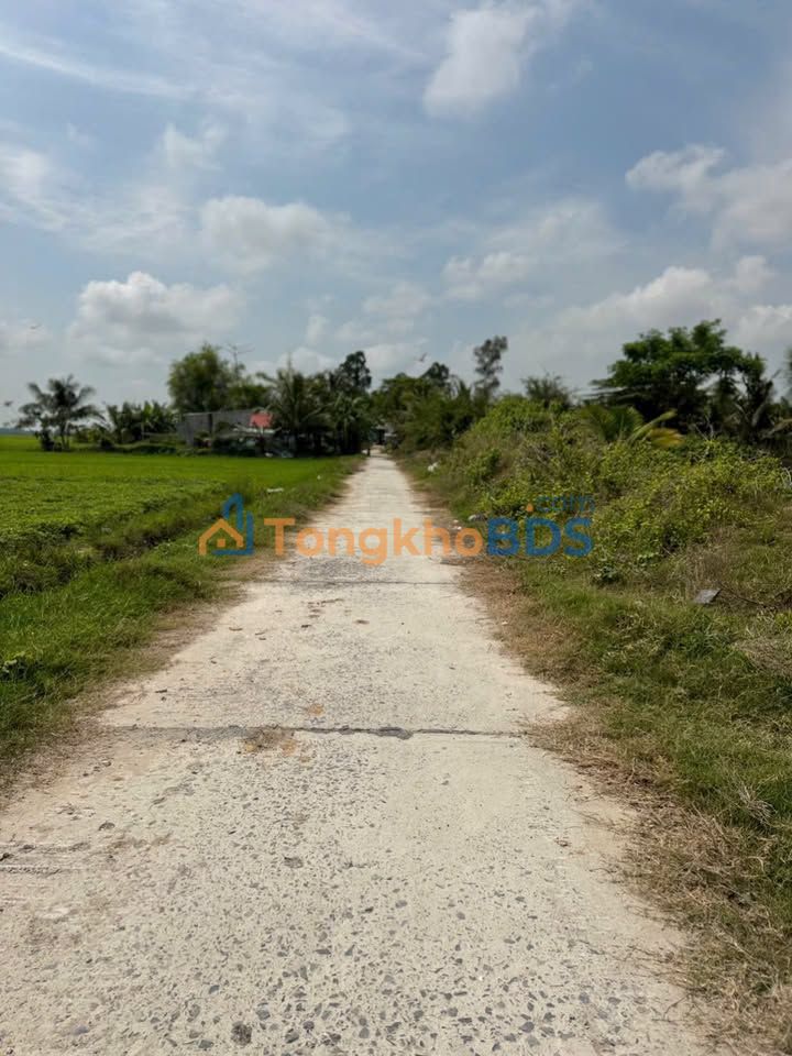 Đất ruộng Tân Hộ Cơ 4.400m² giá 1,25 tỷ - Đường ô tô