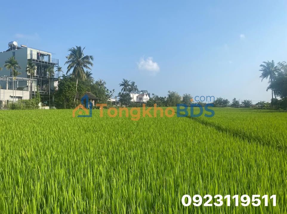 Villa Cẩm Châu 400m² - View đồng lúa, 11PN, hồ bơi lớn, giá 2x tỷ