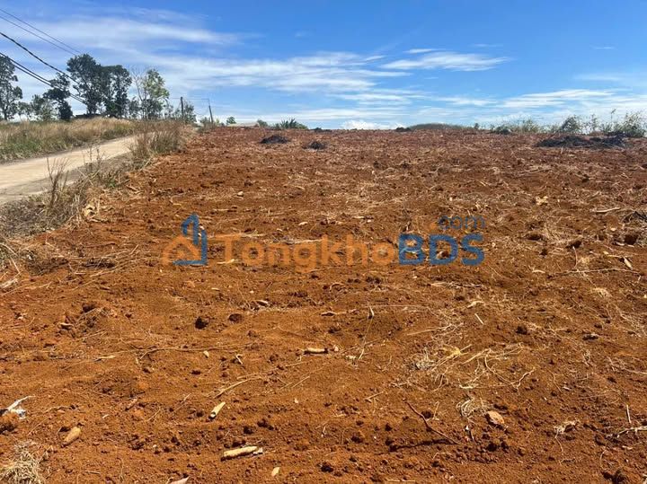 Đất rẫy Gia Nghĩa 1,3ha giá 2.7 tỷ - Pháp lý rõ ràng