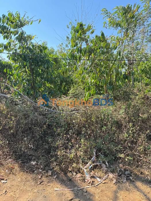 Đất nền Gia Nghĩa 500m² 37.5 tỷ - Sổ đỏ chính chủ