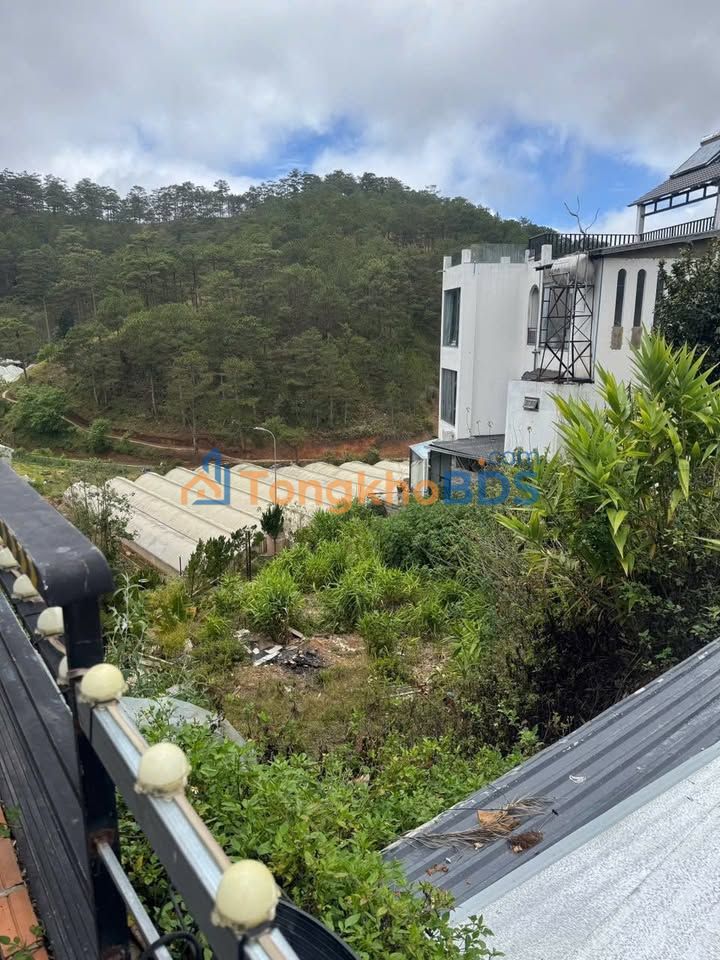 Đất Hoàng Hoa Thám P10 Đà Lạt 252m² 7,85 tỷ - Sổ đỏ chính chủ