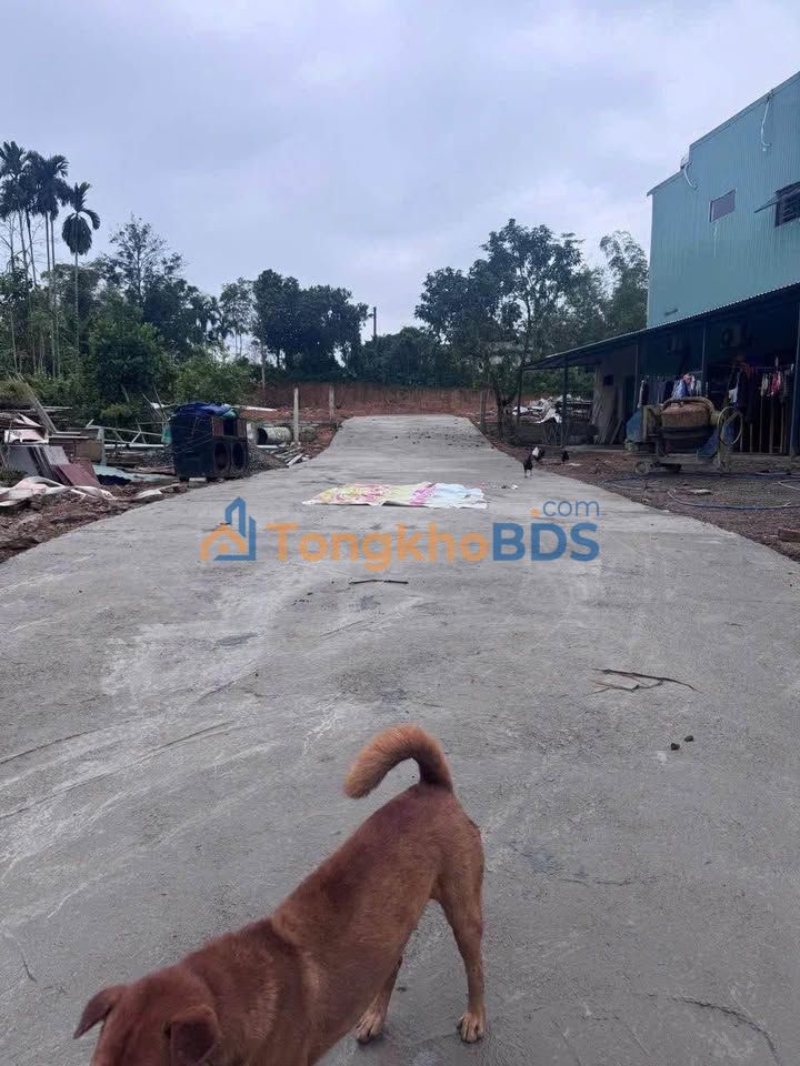 Đất Hòa Ninh Hòa Vang 123m² 1 tỷ - Đường to ô tô 2 kiệt