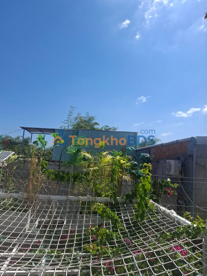 Đất thổ cư Ninh Hải 62m² - 650 triệu, ô tô vào nhà