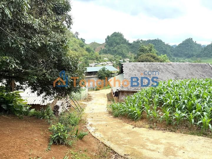 Đất nền Vân Sơn Mộc Châu 1.100m² 1 tỷ - Sổ đỏ