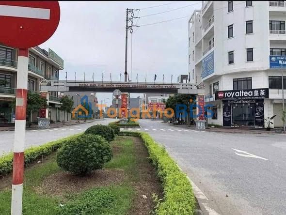 Đất đô thị Thanh Quang, Nam Sách 95m² - Sổ đỏ sẵn sàng, vị trí đắc địa