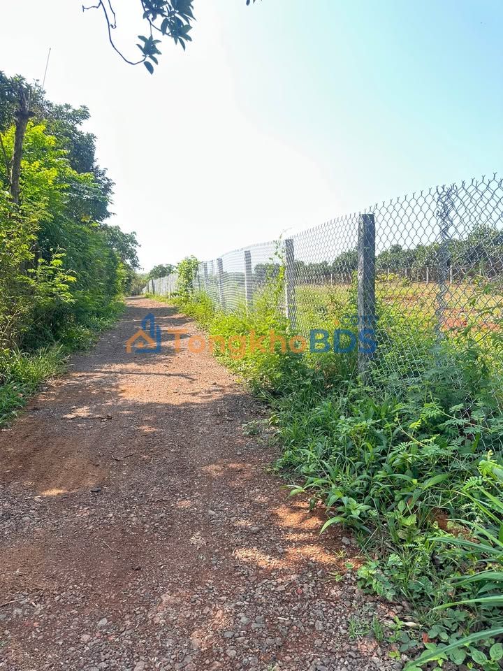 Đất Xuân Bảo Cẩm Mỹ 1000m² 880 triệu - Tiềm năng tăng giá