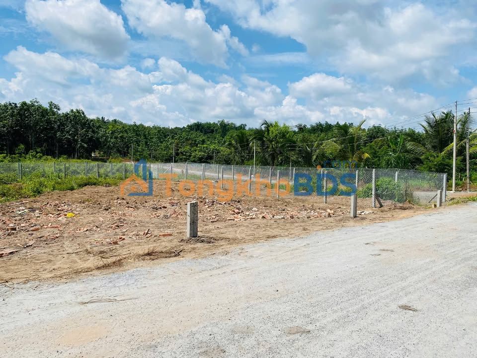 Đất nền Gò Dầu Tây Ninh 290m² thổ cư 100% - Giá 790 triệu, tiềm năng đầu tư cao