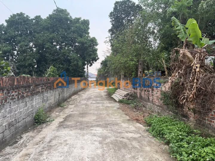 Đất nền Bình Xuyên 100m² 700 triệu - Đất thổ cư 100%