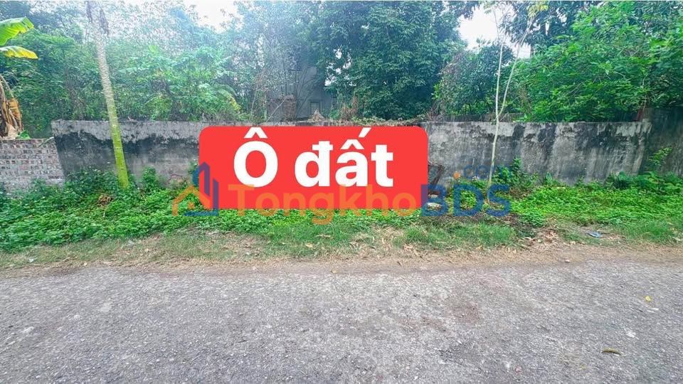 Đất nền Bến Đò Đạo Đức Bình Xuyên 200m² 2.9 tỷ - Sổ đỏ chính chủ